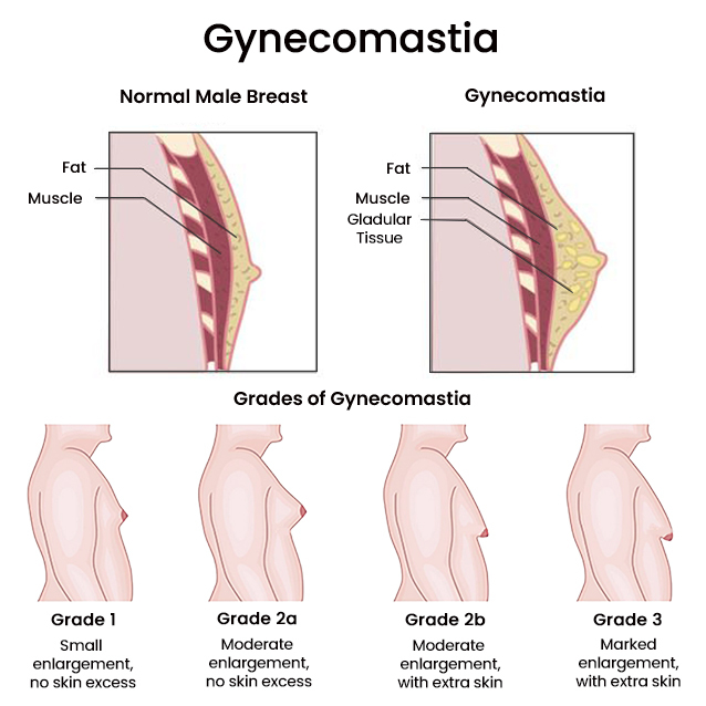 What's normal for breast or penis size; find out if you're