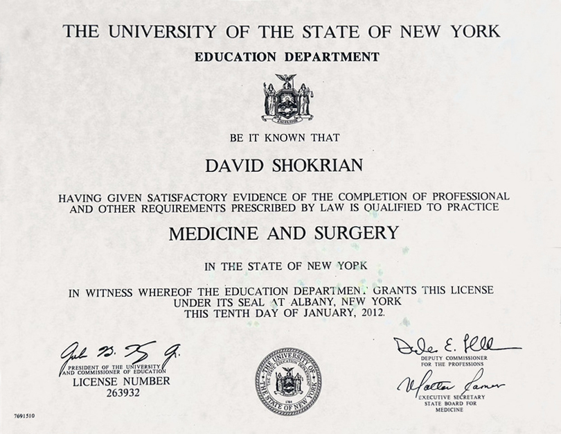 The University of The State Of New York